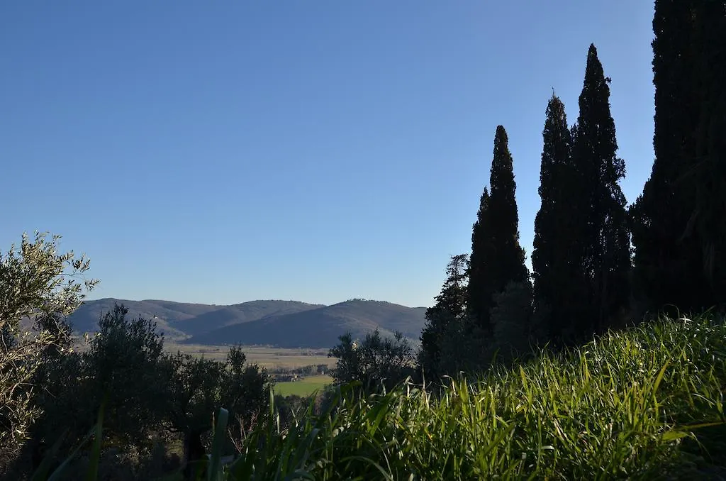 Fonte Comelia Cortona Italy