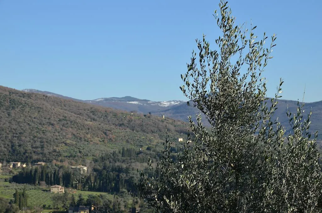 Fonte Comelia Cortona 0*,  Italy